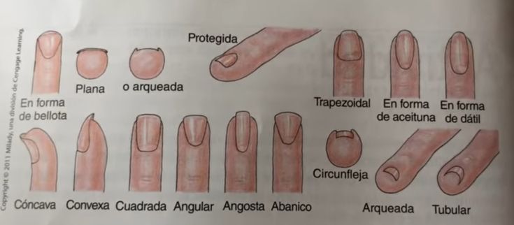 anatomia-del-diseno-de-la-una-6