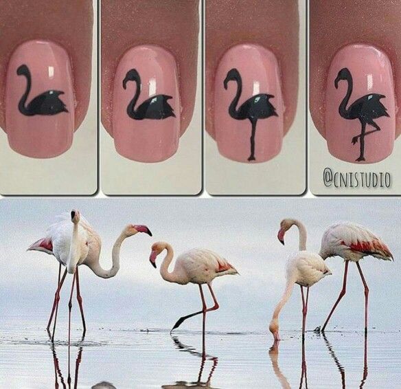 diseno-de-flamingo-en-unas-paso-a-paso-5