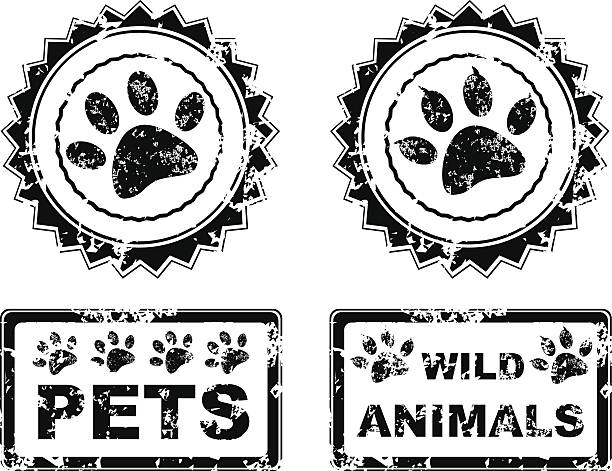 diseno-de-sellos-para-unas-en-vector-3