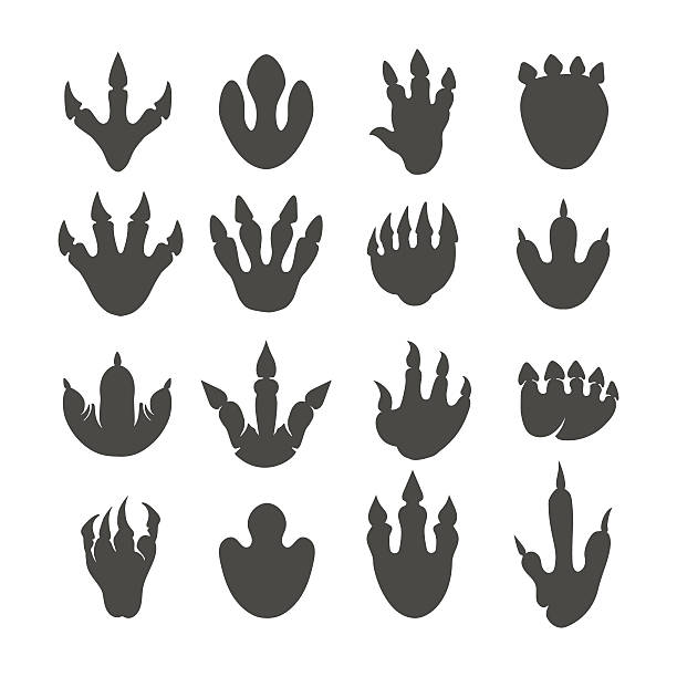 diseno-de-sellos-para-unas-en-vector-7
