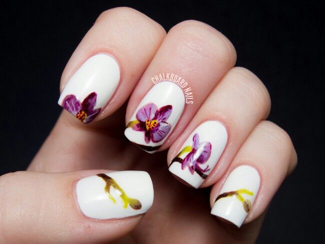 diseno-de-una-orquideas-2