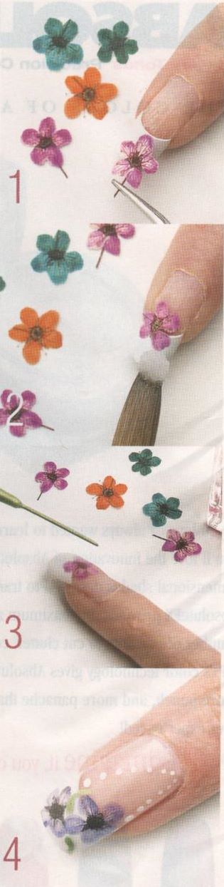 diseno-de-unas-con-flores-secas-naturales-4