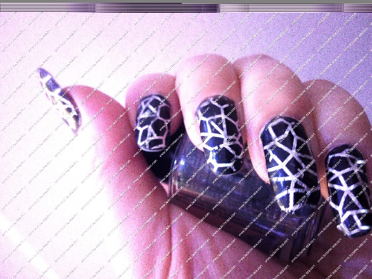 Diseño De Uñas Craquelado en Cerámica