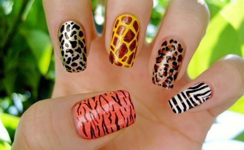 Diseño De Uñas Para La Selva