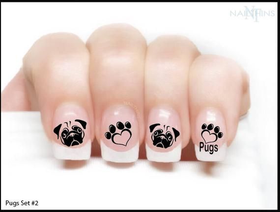 diseno-de-unas-perritos-pug-2