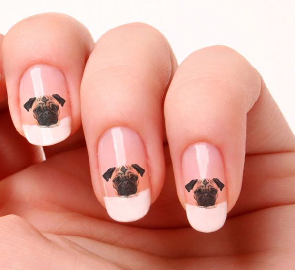 diseno-de-unas-perritos-pug-3