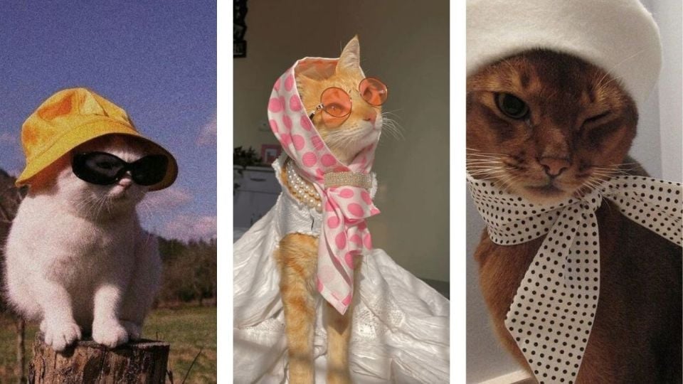 Diseños De Uñas De Gatos Con Bufanda