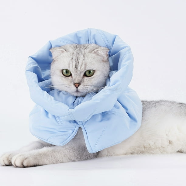 disenos-de-unas-de-gatos-con-bufanda-6