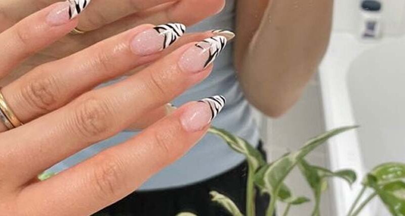 disenos-de-unas-frances-con-cebras-blancas-2