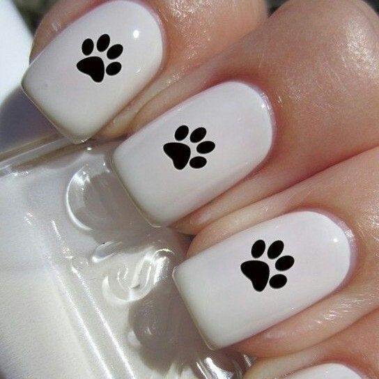Diseños De Uñas Huellas De Perro