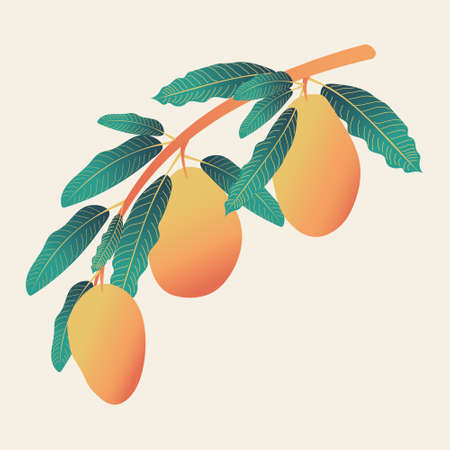 disenos-frutales-mango-de-unas-5
